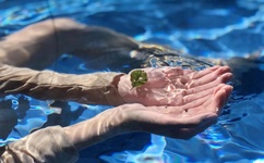 谁有hs图片网站